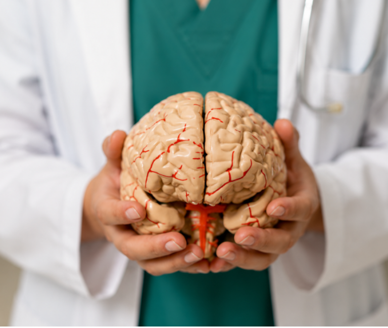 Cerebro y desarrollo de crisis epilépticas durante el sueño